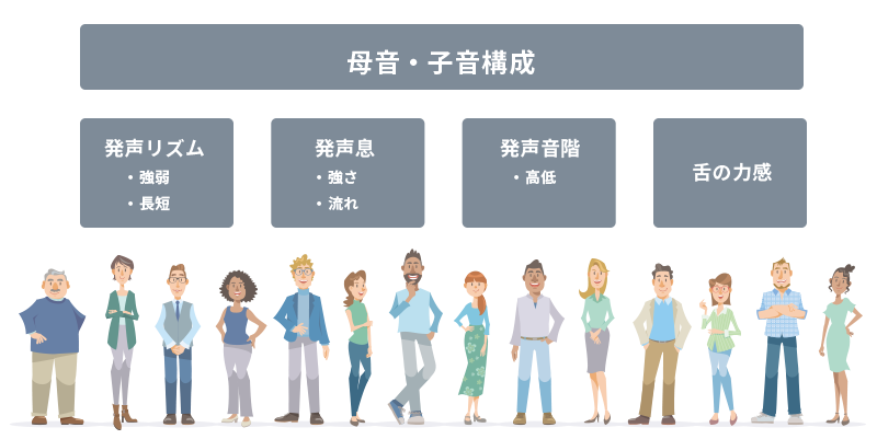 英語・日本語発声の構造的違いの主なポイント