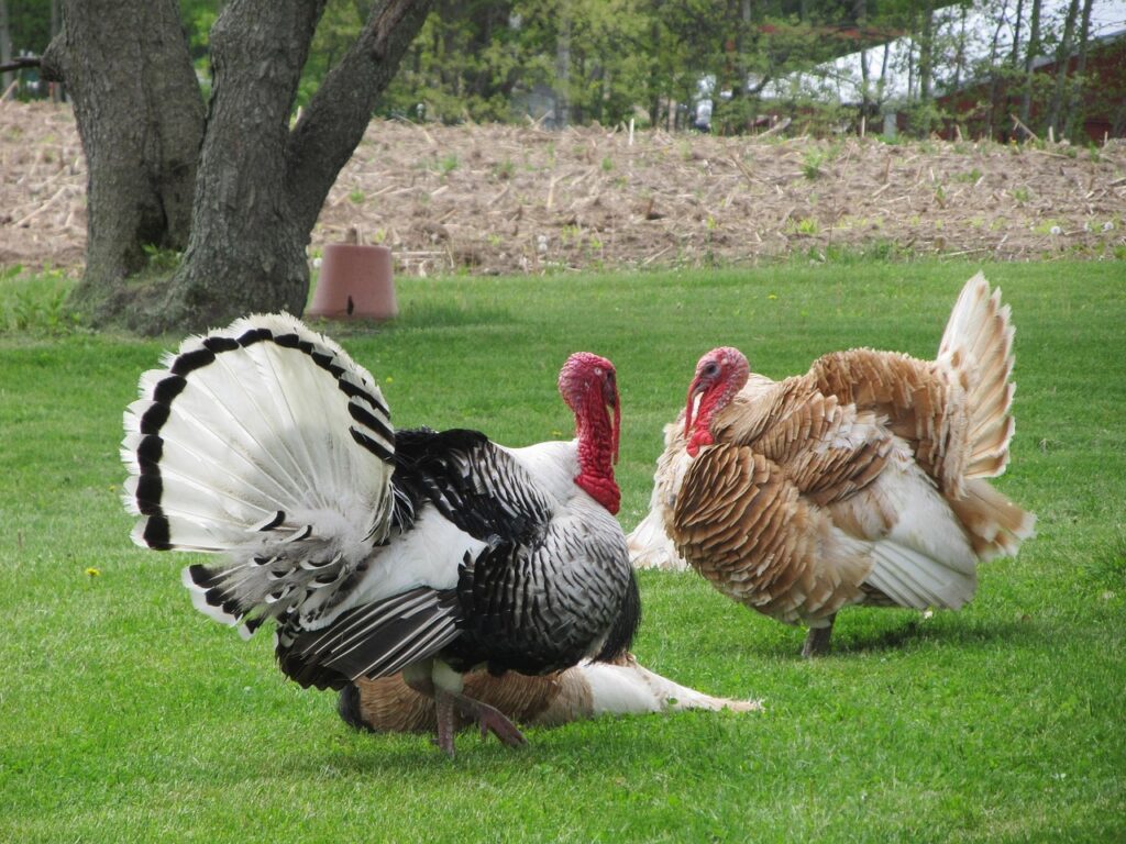 「Bing AIチャットにアメリカでのThanksgiving Day（感謝祭）の過ごし方について聞いてみた」を英音研公式ブログに投稿