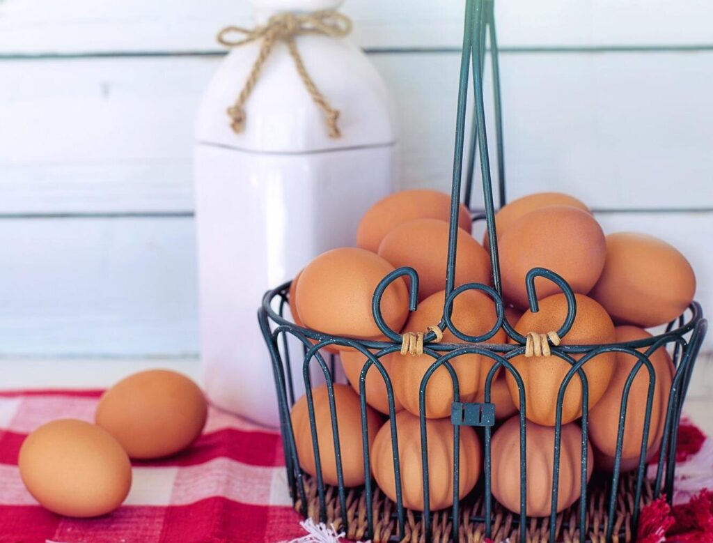 心に響く英語ことわざ（43）Don’t put all your eggs in one basket.　卵を全部一つのかごに入れるな