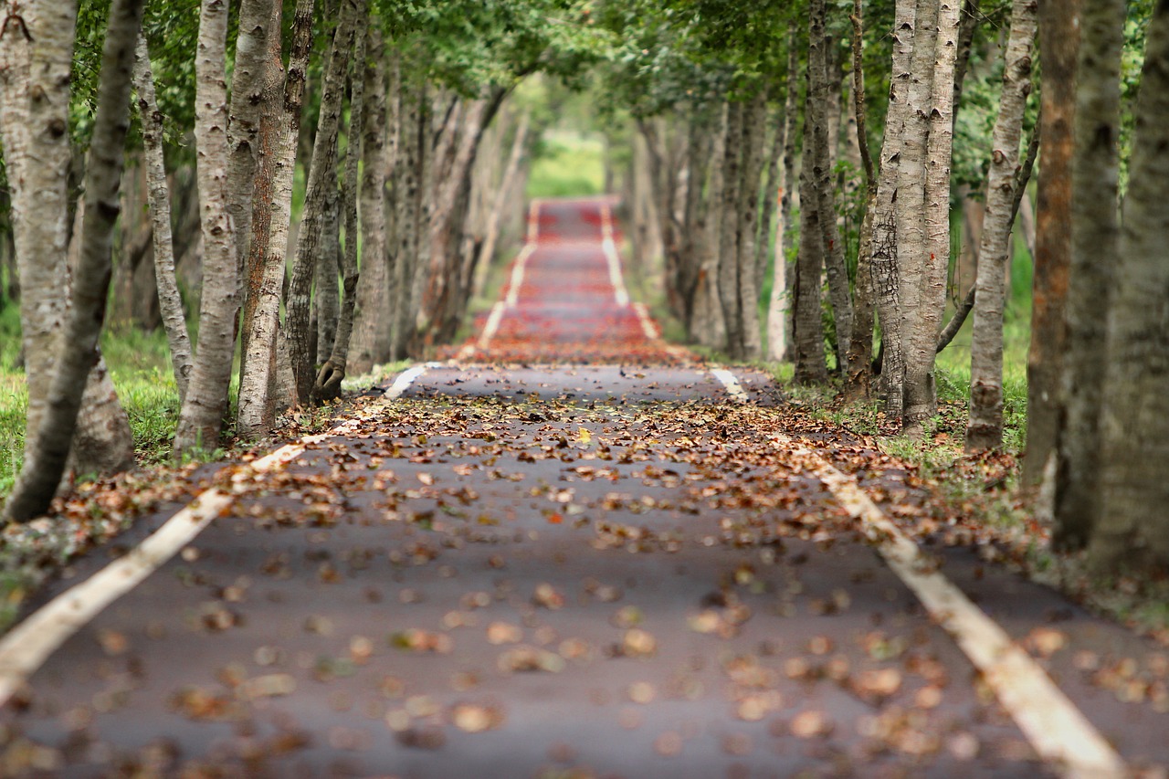 心に響く英語ことわざ(201)It is a long lane that has no turning. 待てば海路の日和あり