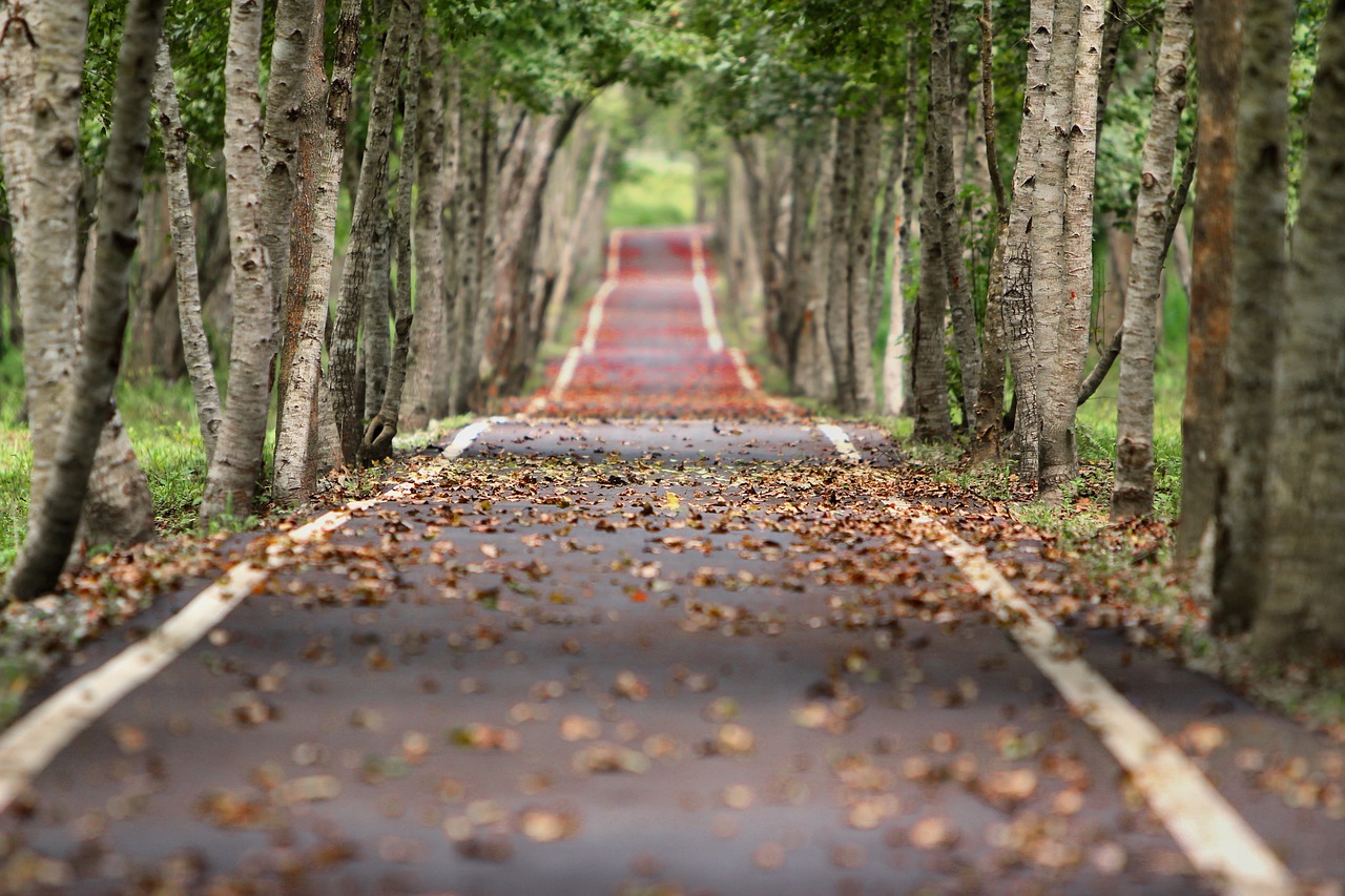 心に響く英語ことわざ（201）It is a long lane that has no turning. 待てば海路の日和あり