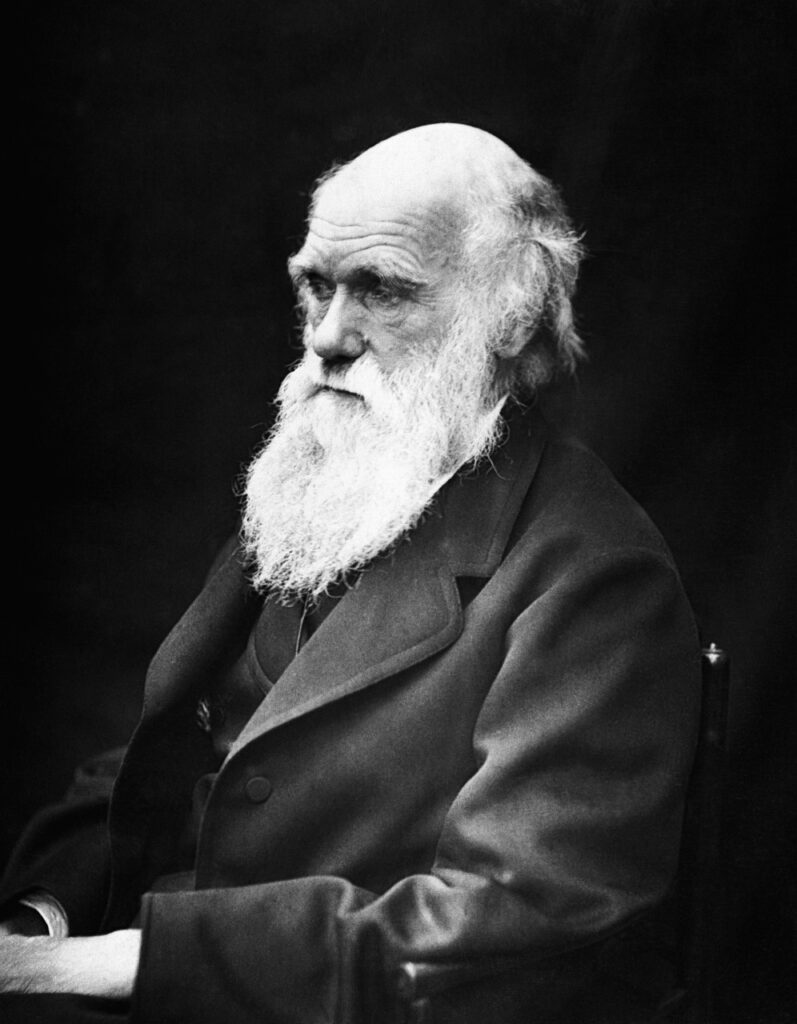 Google Geminiに進化論で有名なチャールズ・ダーウィンはどのような生い立ちだったかを聞いてみた